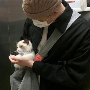 张柔大狼狗 原文
