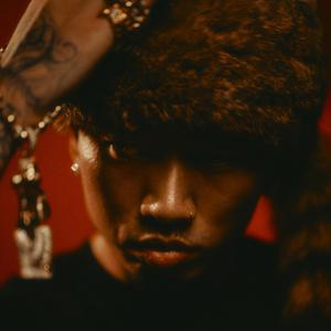 张柔大狼狗 原文
