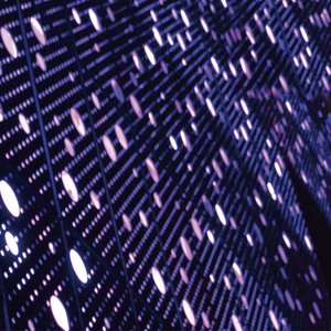 张柔大狼狗 原文
