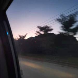 张柔大狼狗 原文
