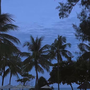 张柔大狼狗 原文
