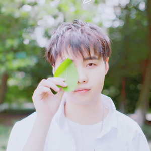 张柔大狼狗 原文
