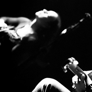 张柔大狼狗 原文
