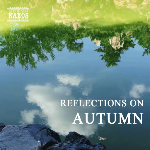 张柔大狼狗 原文
